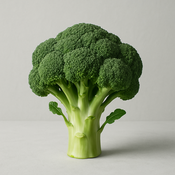 Broccoli