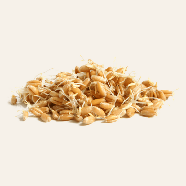 Spermidine