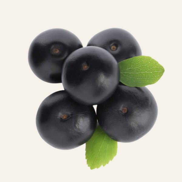 Açaí Berry