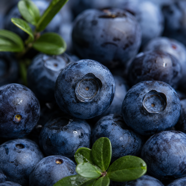 Bilberry