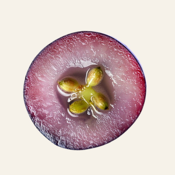 Grape Seed