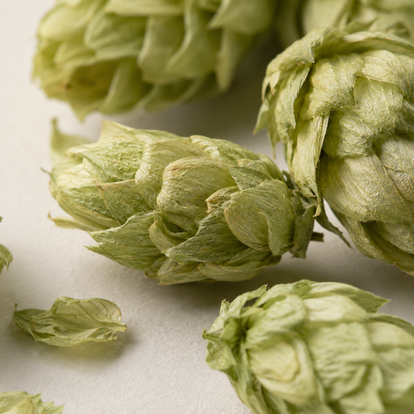 Hops