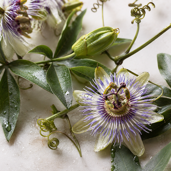 Passionflower