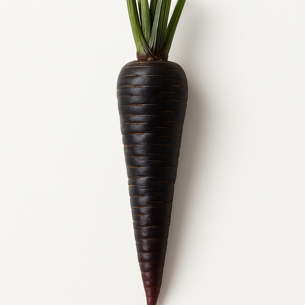 Black Carrot