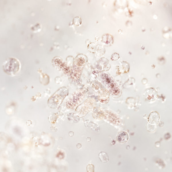 Bacillus subtilis